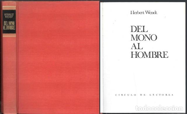 Libros de segunda mano: DEL MONO AL HOMBRE - WENDT, HERBERT - A-ANT-278