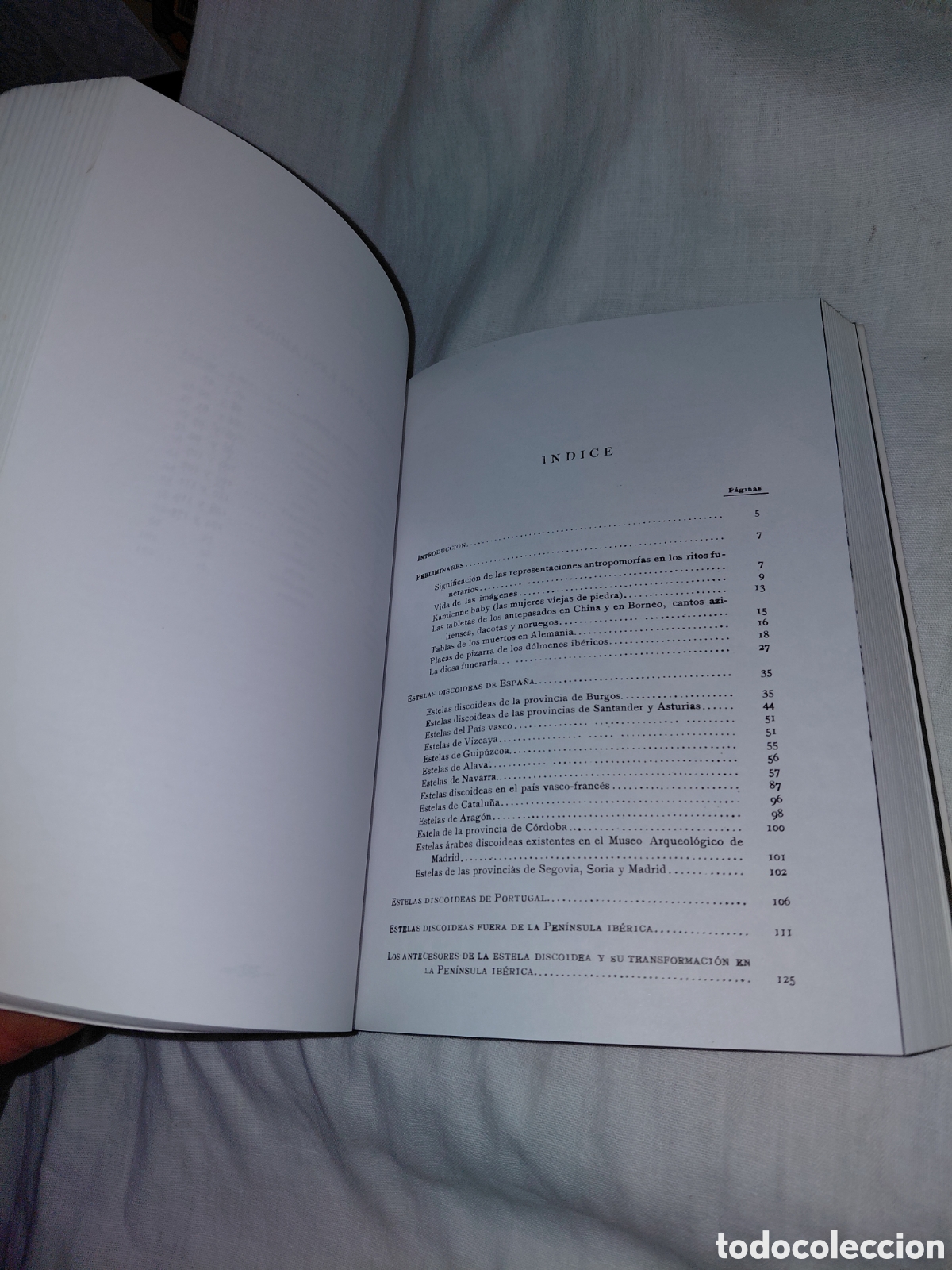 Libros de segunda mano: ESTELAS DISCOIDEAS DE LA PENINSULA IBERICA.EUGENIUSZ FRANKOWSKI.EDICIONES ISTMO 1989 - Foto 8