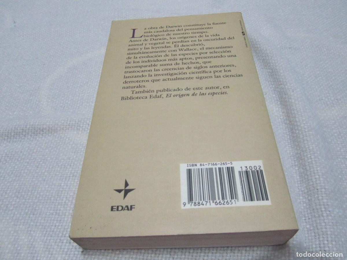 Libros de segunda mano: EL ORIGEN DEL HOMBRE, CHARLES DARWIN, EDITORIAL EDAF, 1989 - Foto 2