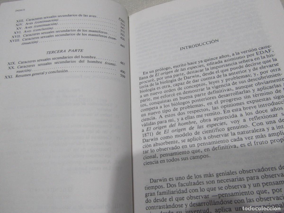 Libros de segunda mano: EL ORIGEN DEL HOMBRE, CHARLES DARWIN, EDITORIAL EDAF, 1989 - Foto 6