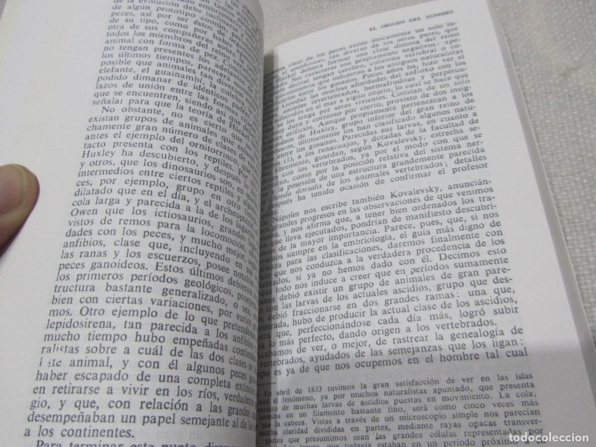 Libros de segunda mano: EL ORIGEN DEL HOMBRE, CHARLES DARWIN, EDITORIAL EDAF, 1989 - Foto 7
