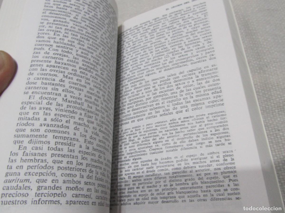 Libros de segunda mano: EL ORIGEN DEL HOMBRE, CHARLES DARWIN, EDITORIAL EDAF, 1989 - Foto 9