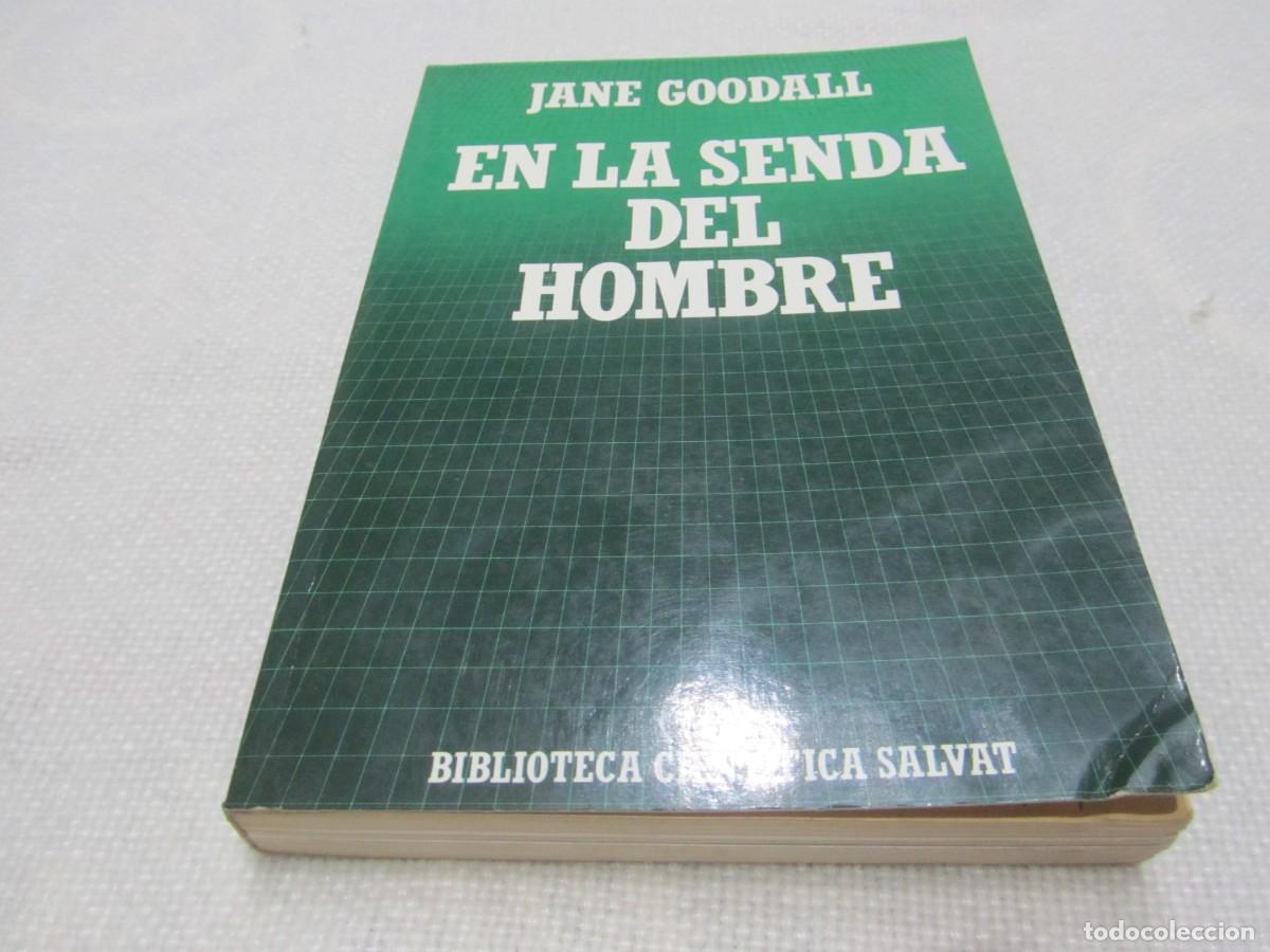 Libros de segunda mano: EN LA SENDA DEL HOMBRE, LIBRO DE JANE GOODALL,SALVAT EDITORES 1986