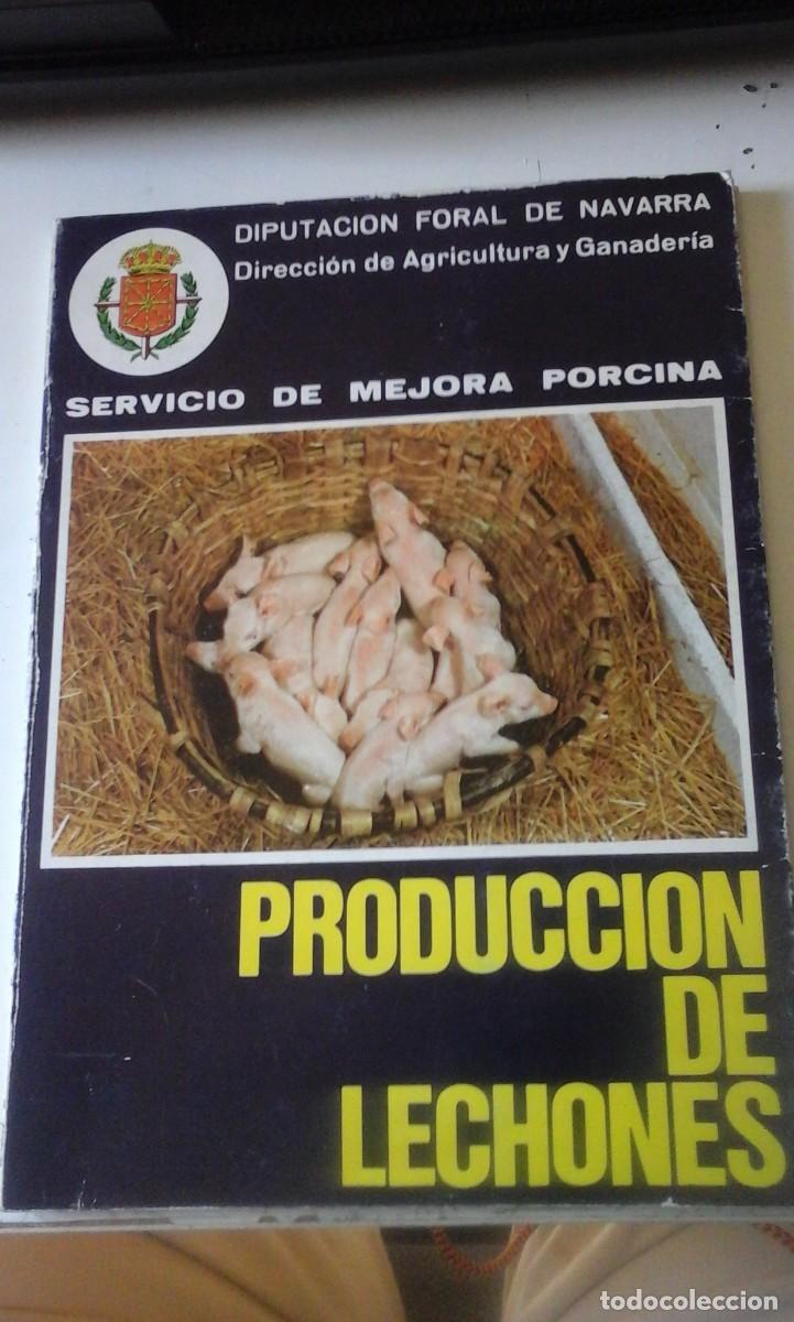 Libros de segunda mano: PRODUCCION DE LECHONES (Pamplona, 1971)