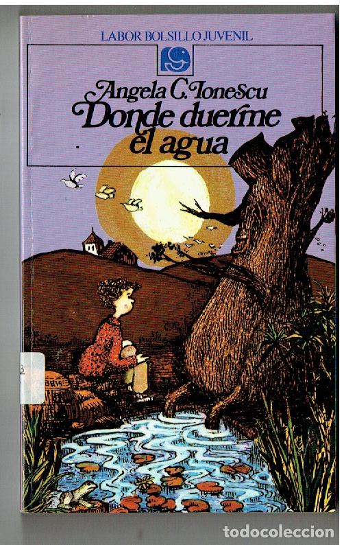 Libros de segunda mano: LABOR BOLSILLO JUVENIL. N&ordm; 2. DONDE DUERME EL AGUA. &Aacute;NGELA C. IONESCU. 7&ordf;, 1987.(P/B19.1)