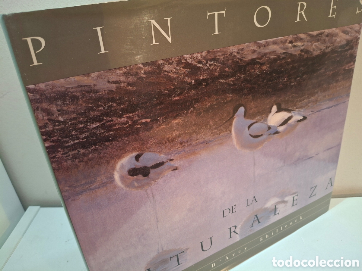 Libros de segunda mano: PINTORES DE LA NATURALEZA, ROBIN D&acute;ARCY SHILLCOCK, SEO BIRDLIFE, 1997