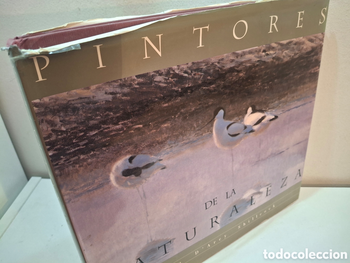 Libros de segunda mano: PINTORES DE LA NATURALEZA, ROBIN D&acute;ARCY SHILLCOCK, SEO BIRDLIFE, 1997