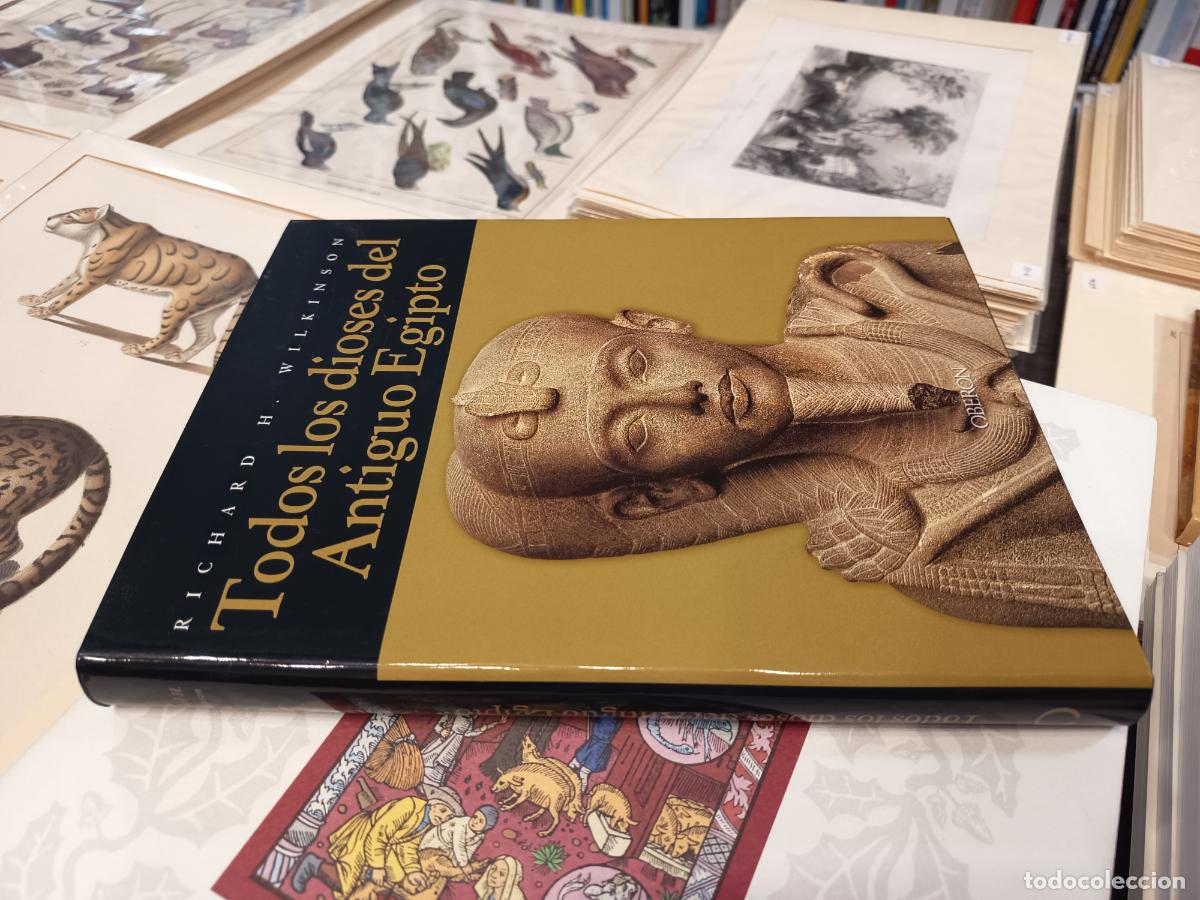 Libros de segunda mano: 2003 - RICHARD H. WILKINSON. Todos los dioses del Antiguo Egipto
