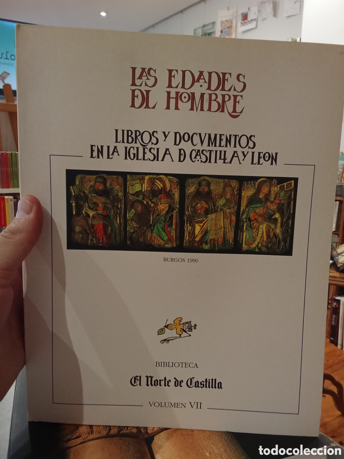 Libros de segunda mano: Libros y documentos en la iglesia de Castilla y Leon - Volumen VII - El Norte de Castilla