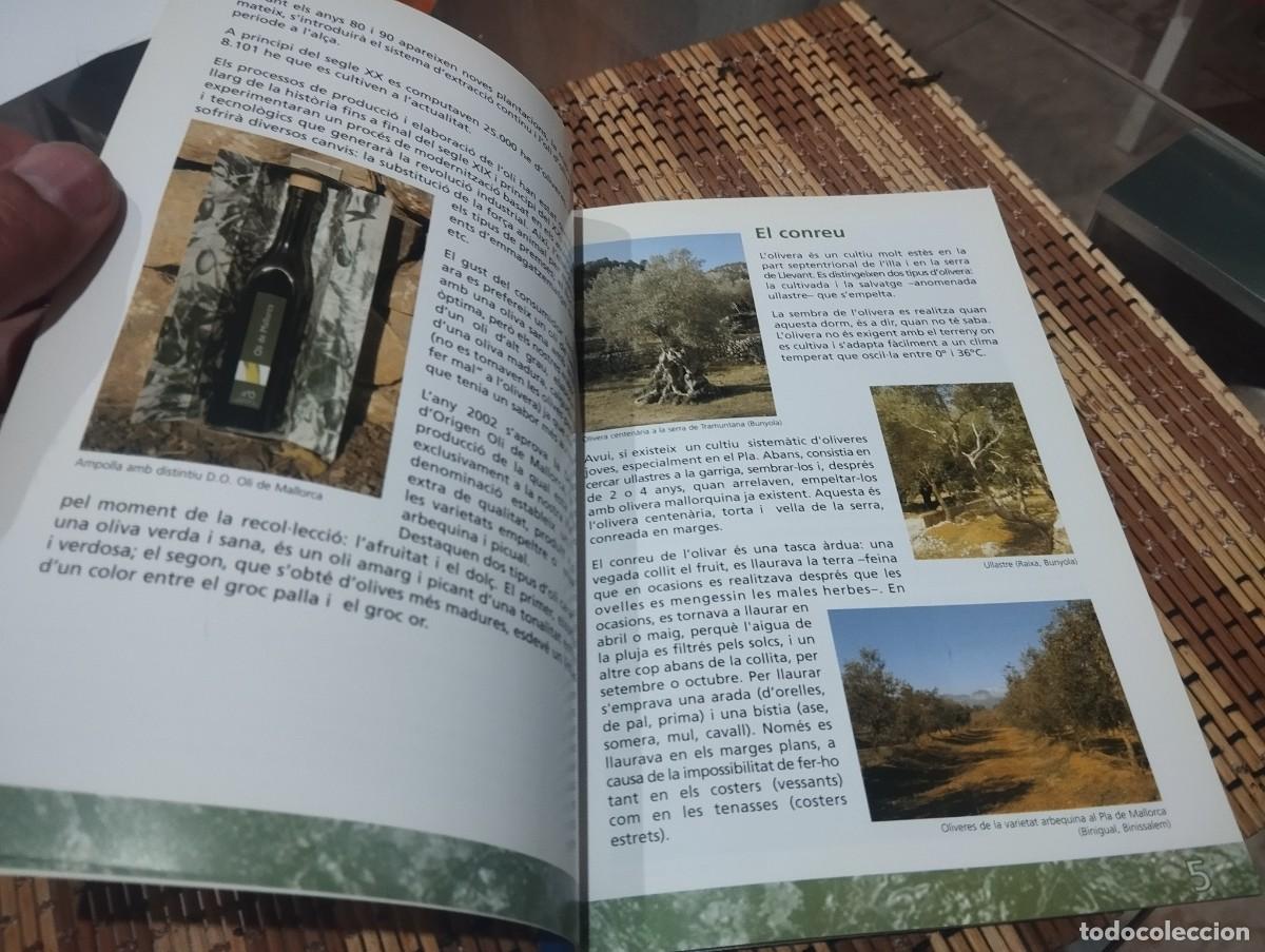 Libros de segunda mano: L&rdquo;OLI A MALLORCA DEL PASSAT AL PRESENT / EL ACEITE EN MALLORCA DEL PASADO AL PRESENTE - Foto 3