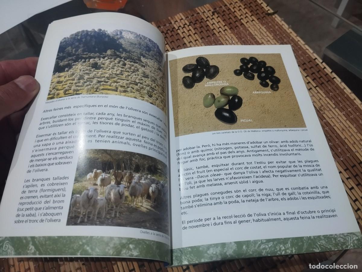 Libros de segunda mano: L&rdquo;OLI A MALLORCA DEL PASSAT AL PRESENT / EL ACEITE EN MALLORCA DEL PASADO AL PRESENTE - Foto 4