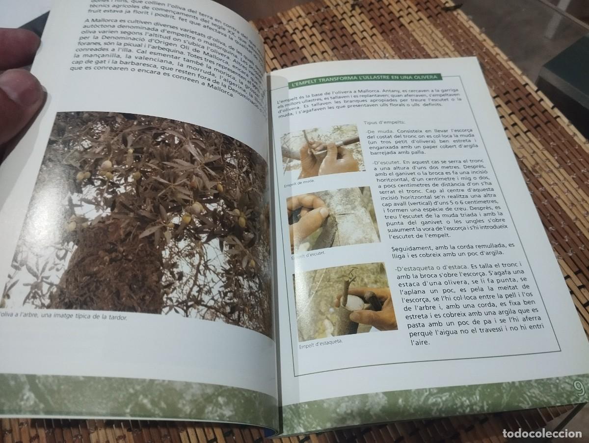 Libros de segunda mano: L&rdquo;OLI A MALLORCA DEL PASSAT AL PRESENT / EL ACEITE EN MALLORCA DEL PASADO AL PRESENTE - Foto 5