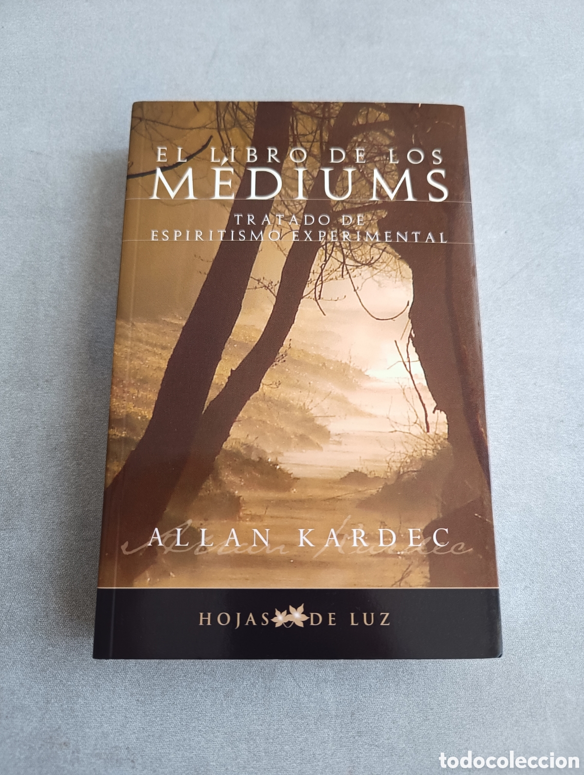 Libros de segunda mano: EL LIBRO DE LOS MEDIUMS - ALLAN KARDEC - Foto 2