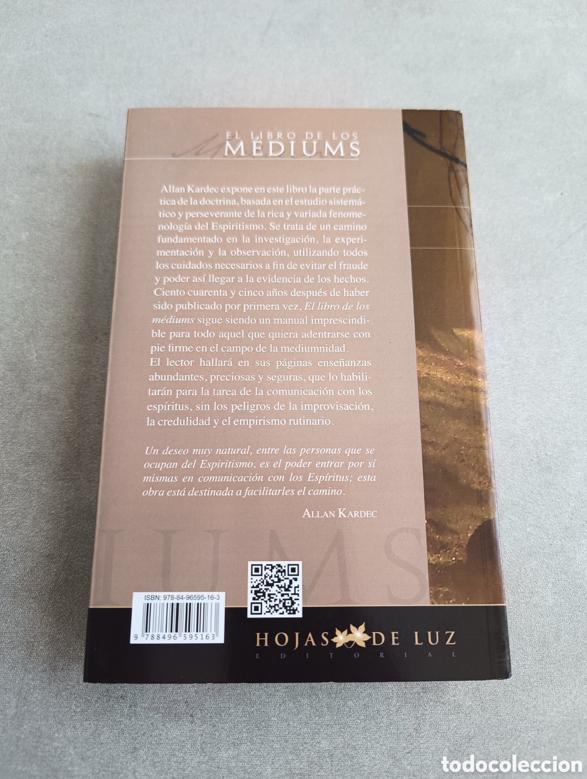 Libros de segunda mano: EL LIBRO DE LOS MEDIUMS - ALLAN KARDEC - Foto 3