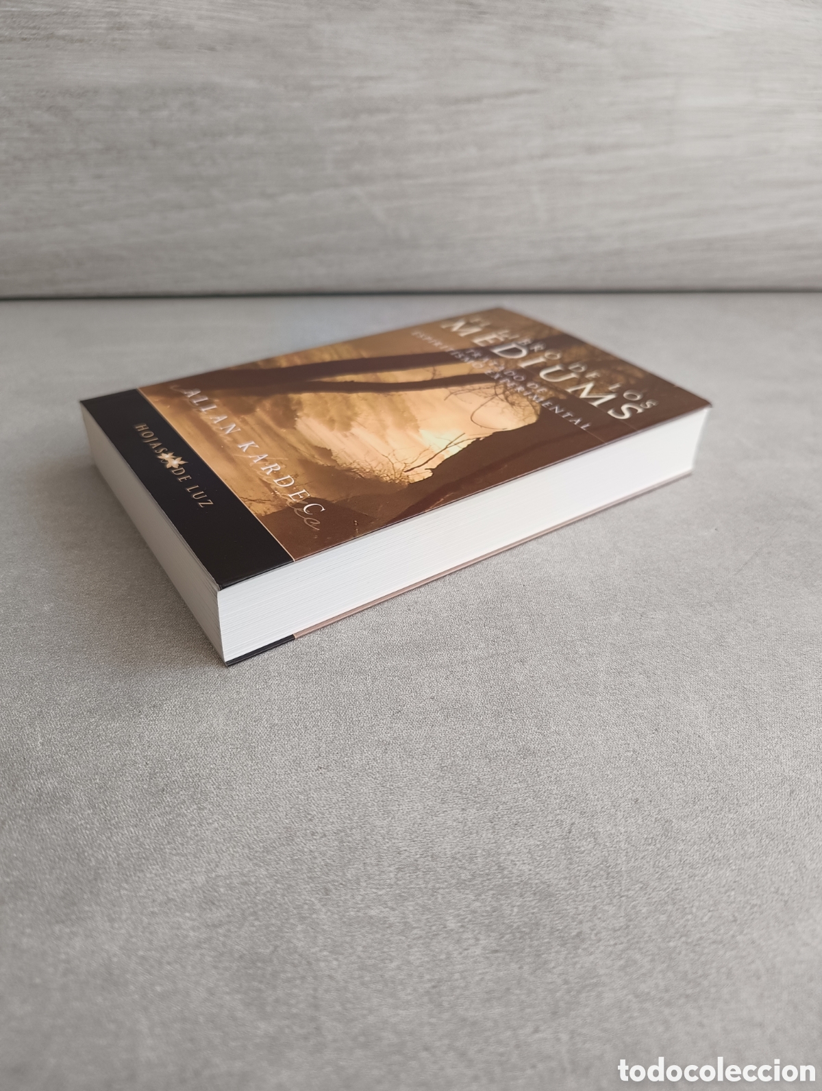 Libros de segunda mano: EL LIBRO DE LOS MEDIUMS - ALLAN KARDEC - Foto 7