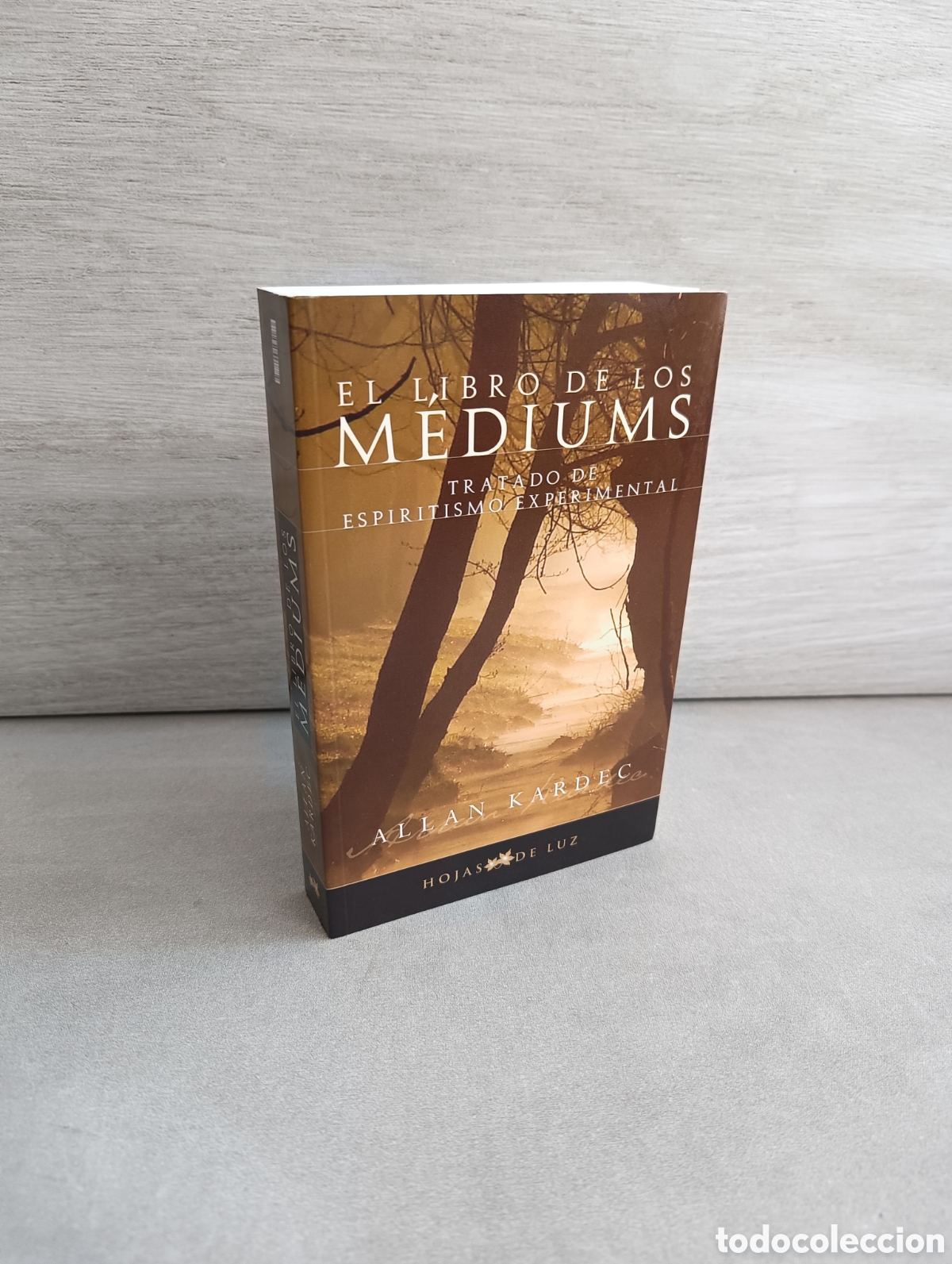 Libros de segunda mano: EL LIBRO DE LOS MEDIUMS - ALLAN KARDEC - Foto 1