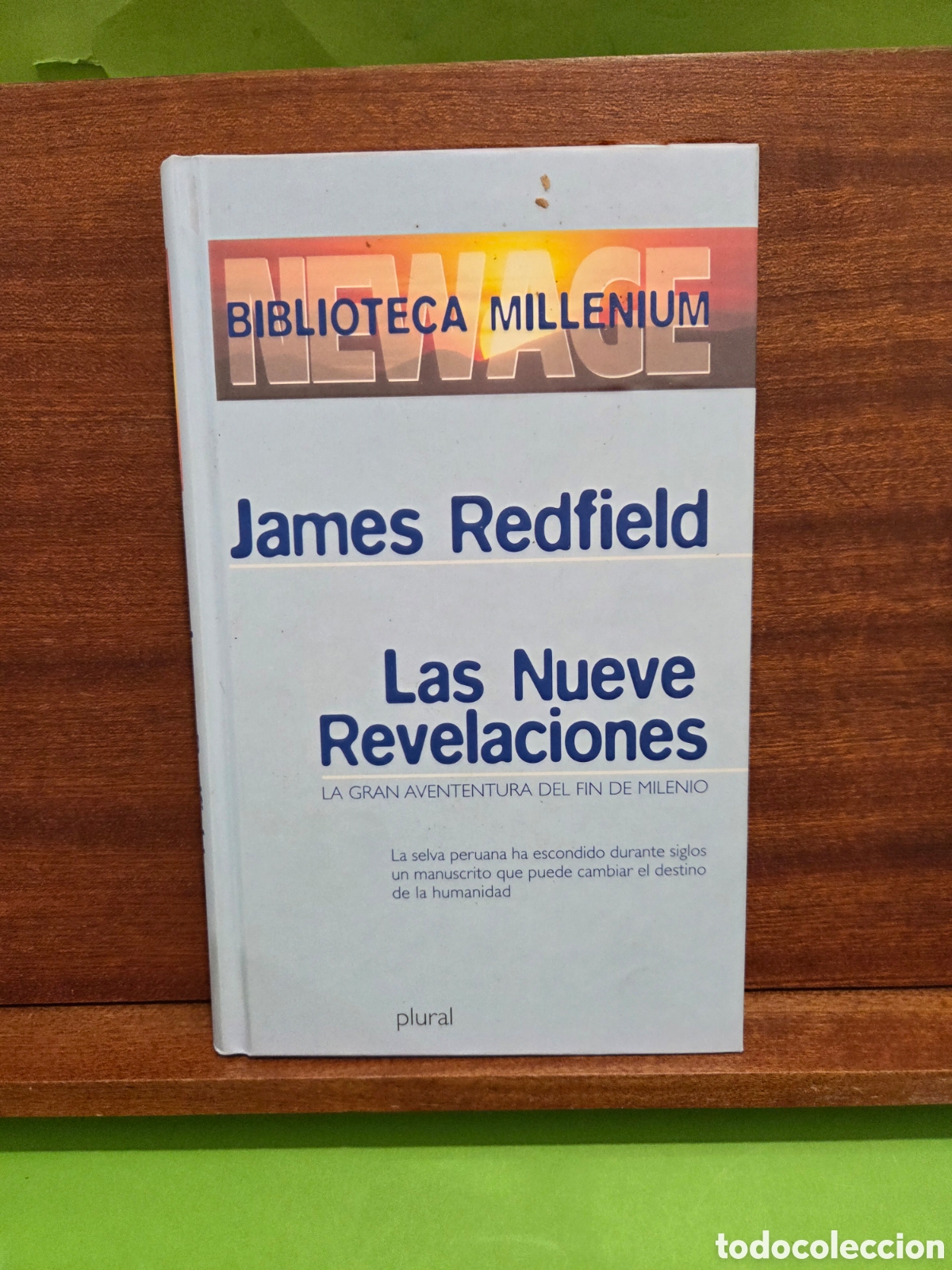 Libros de segunda mano: &rdquo;&rdquo;LAS NUEVE REVELACIONES&rdquo;&rdquo;...LA GRAN AVENTURA DEL FIN DEL MUNDO...JAMES REDFIELD...PLURAL...2000...