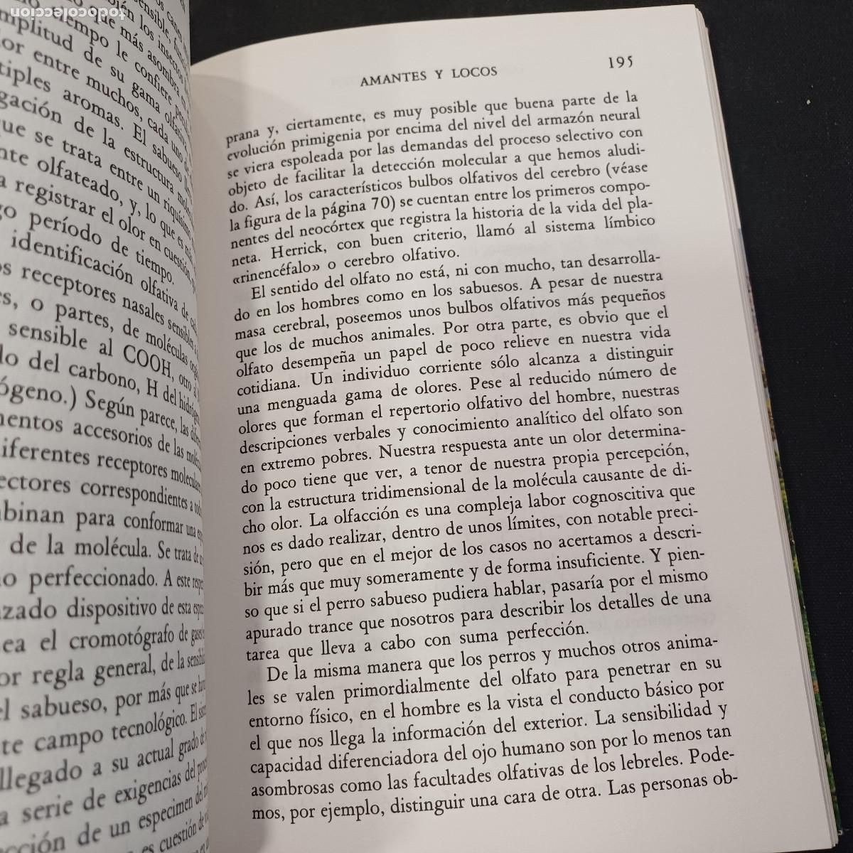 Libros de segunda mano: LOS DRAGONES DEL EDEN/CARL SAGAN. - Foto 2