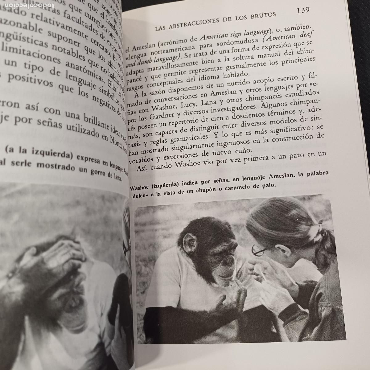 Libros de segunda mano: LOS DRAGONES DEL EDEN/CARL SAGAN. - Foto 3