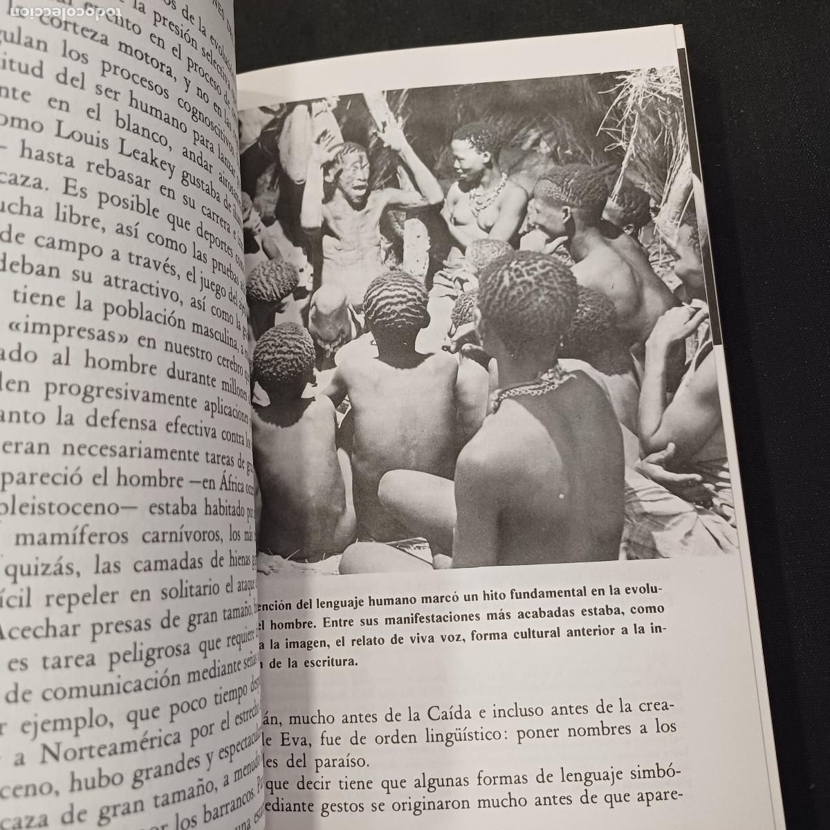 Libros de segunda mano: LOS DRAGONES DEL EDEN/CARL SAGAN. - Foto 4