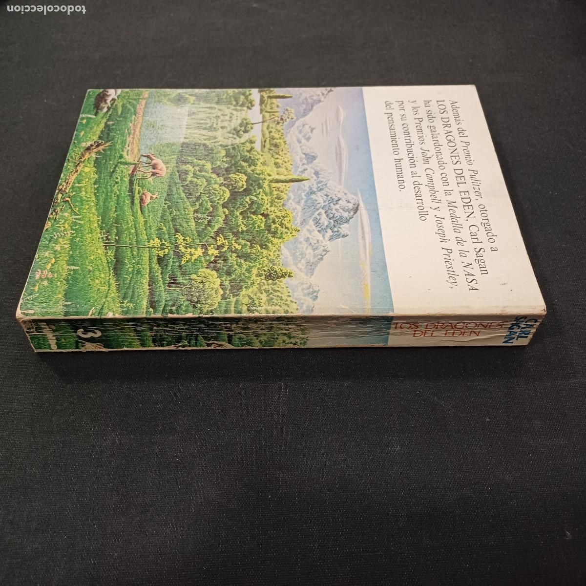 Libros de segunda mano: LOS DRAGONES DEL EDEN/CARL SAGAN. - Foto 5
