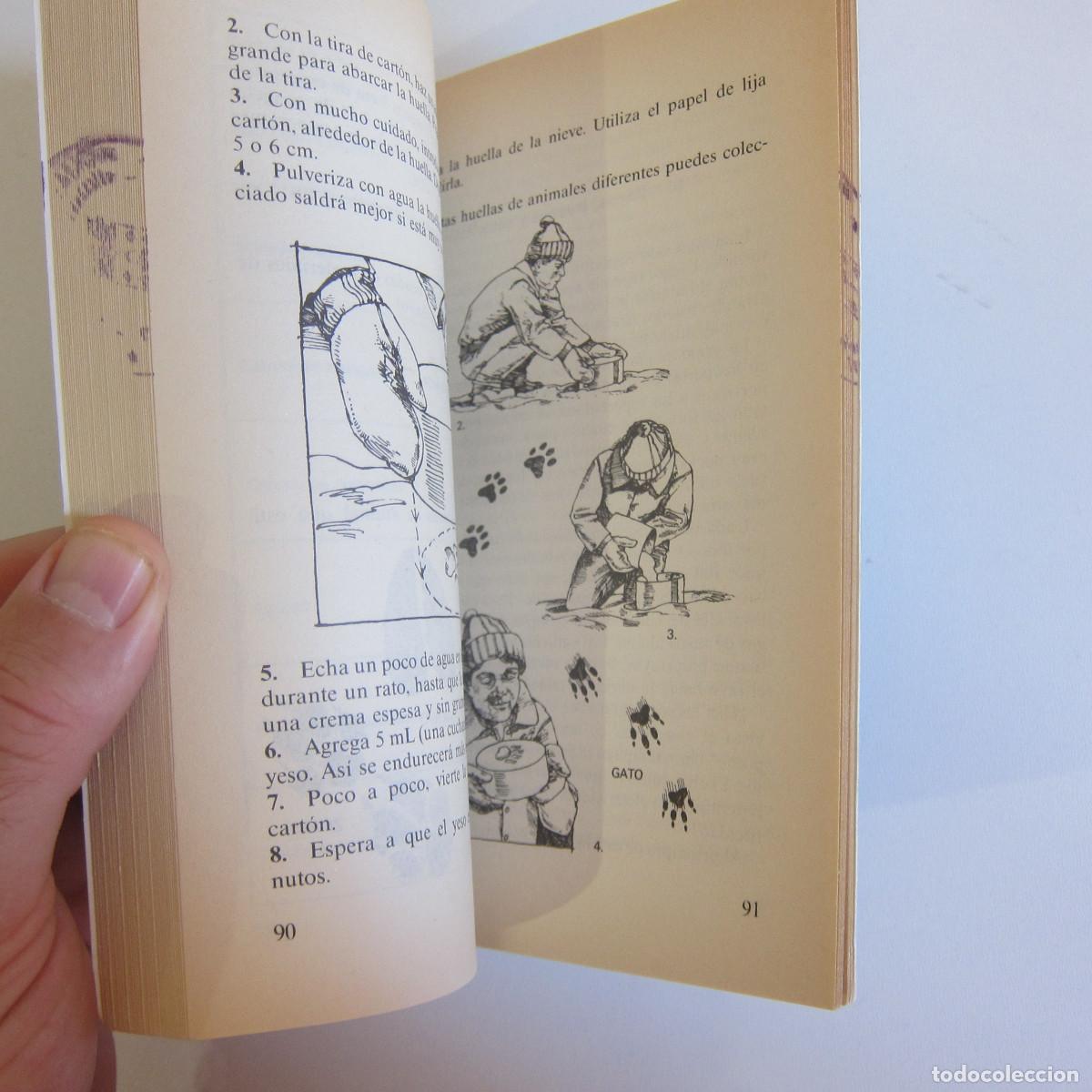 Libros de segunda mano: EXPLOREMOS EL TIEMPO - SUZUKI / HEHNER (LABOR) JUVENIL - Foto 6