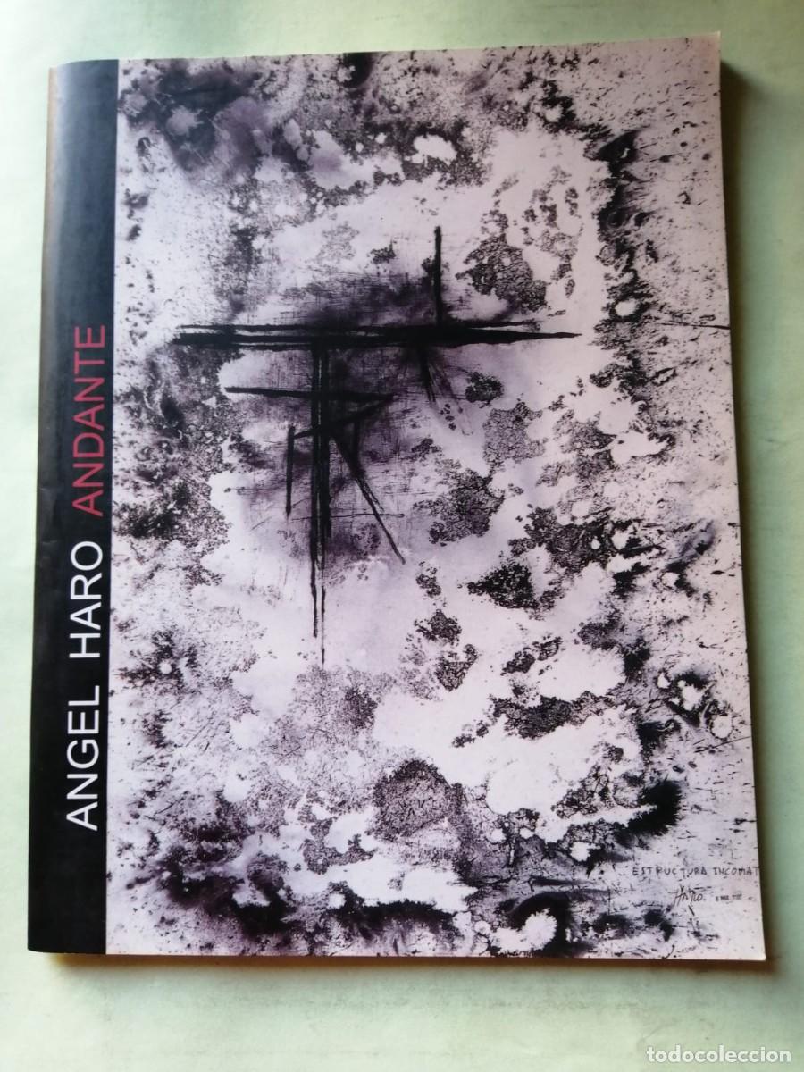 Libros de segunda mano: ANGEL HARO, ANDANTE.