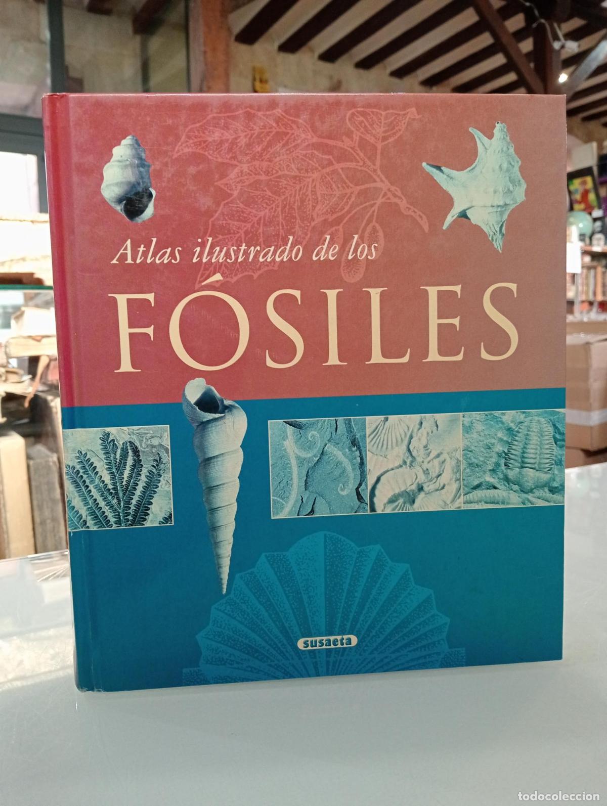Libros de segunda mano: F&oacute;siles - Varios Autores