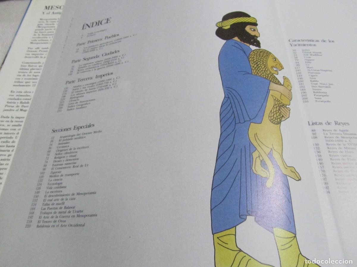 Libros de segunda mano: MESOPOTAMIA Y EL ANTIGUO ORIENTE MEDIO, LIBRO DE MICHAEL ROAF, EDICIONES FOLIO 1992 - Foto 5