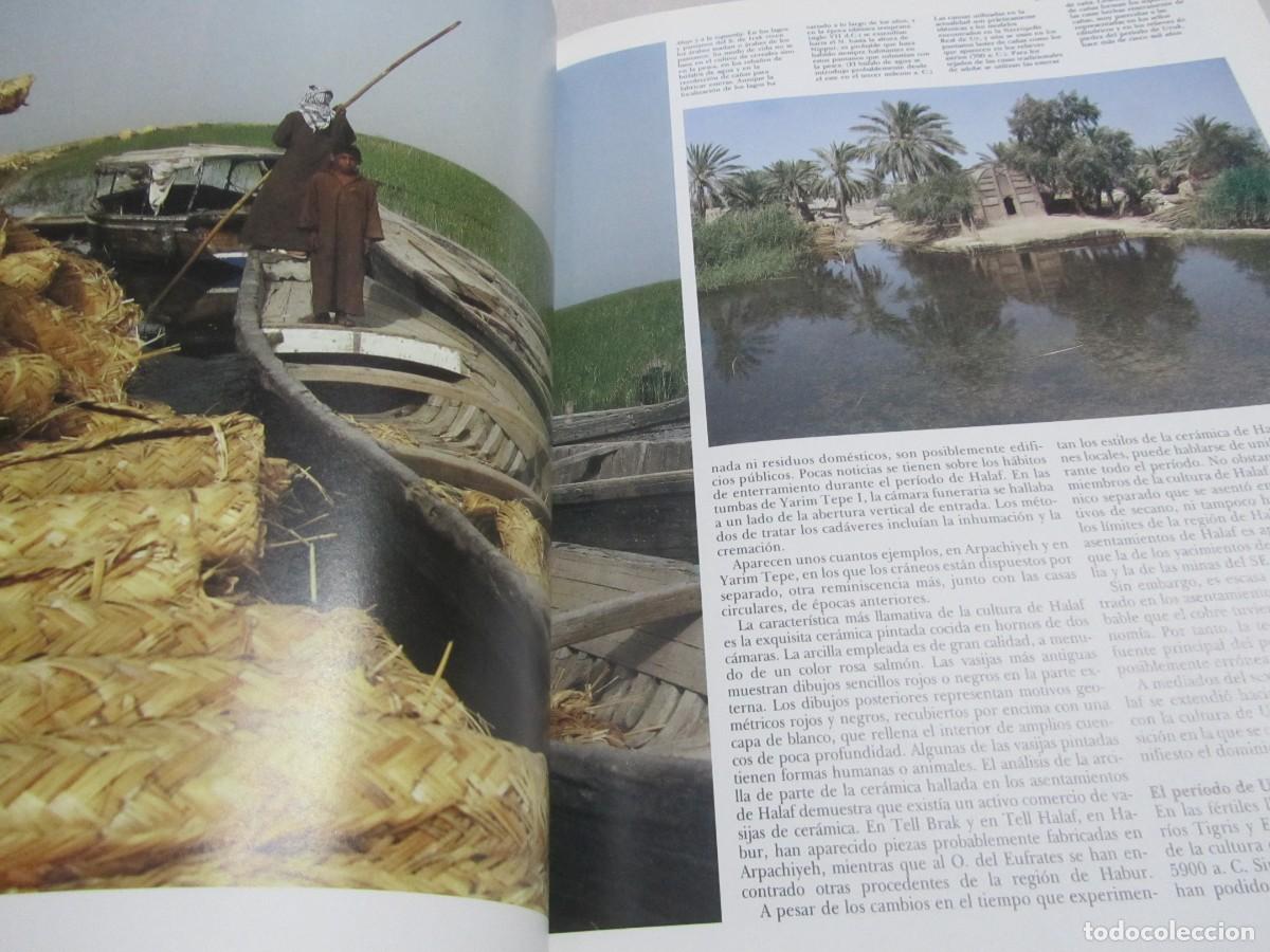 Libros de segunda mano: MESOPOTAMIA Y EL ANTIGUO ORIENTE MEDIO, LIBRO DE MICHAEL ROAF, EDICIONES FOLIO 1992 - Foto 10