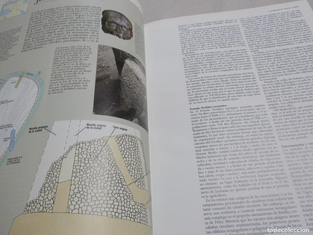 Libros de segunda mano: MESOPOTAMIA Y EL ANTIGUO ORIENTE MEDIO, LIBRO DE MICHAEL ROAF, EDICIONES FOLIO 1992 - Foto 11