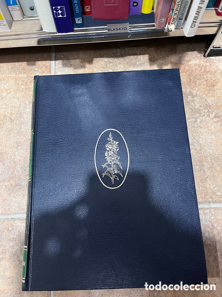 Libros de segunda mano: Blas47D Gran Enciclopedia Sarpe Plantas y flores I
