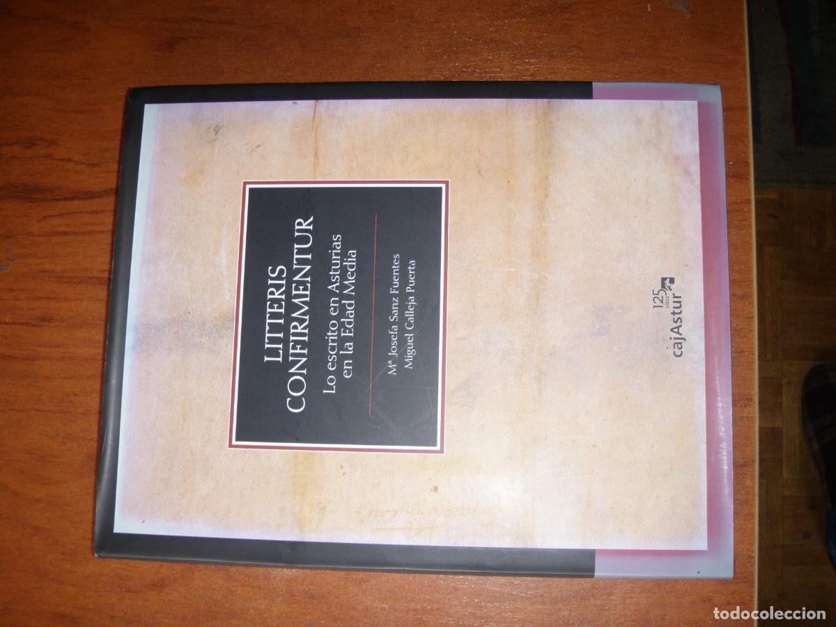 Libros de segunda mano: LITTERIS CONFIRMENTUR LO ESCRITO EN ASTURIAS EN LA EDAD MEDIA