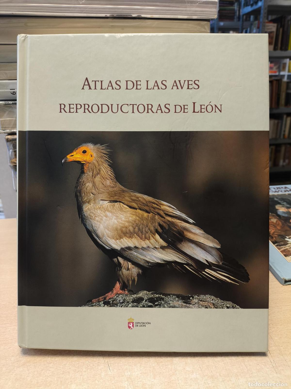 Libros de segunda mano: ATLAS DE LAS AVES REPRODUCTORAS DE LE&Oacute;N - JAVIER GARC&Iacute;A FERN&Aacute;NDEZ - JAVIER GARC&Iacute;A FERN&Aacute;NDEZ