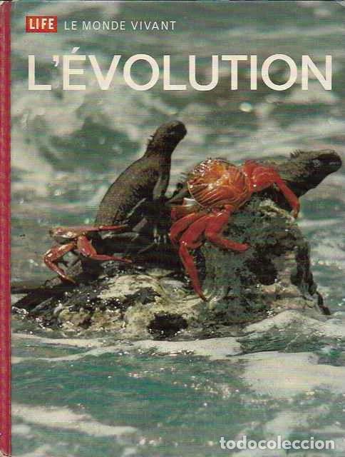 Libros de segunda mano: Life le monde vivant. L&eacute;volution - Ruth Moore - Foto 1