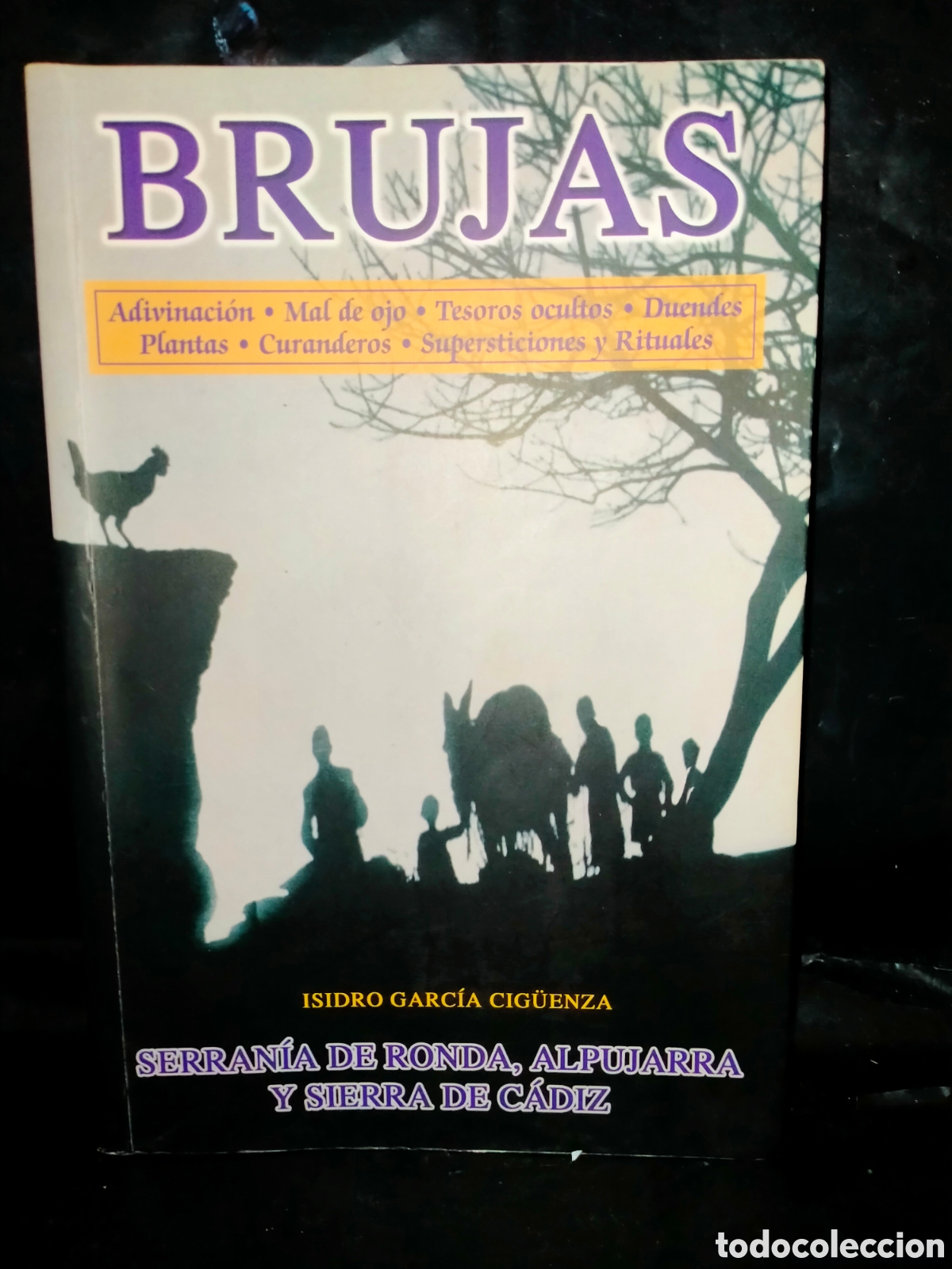 Libros de segunda mano: ISIDRO GARC&Iacute;A CIGUENZA. BRUJAS (RONDA,/ALPUJARRAS/C&Aacute;DIZ) .AUTOEDICI&Oacute;N
