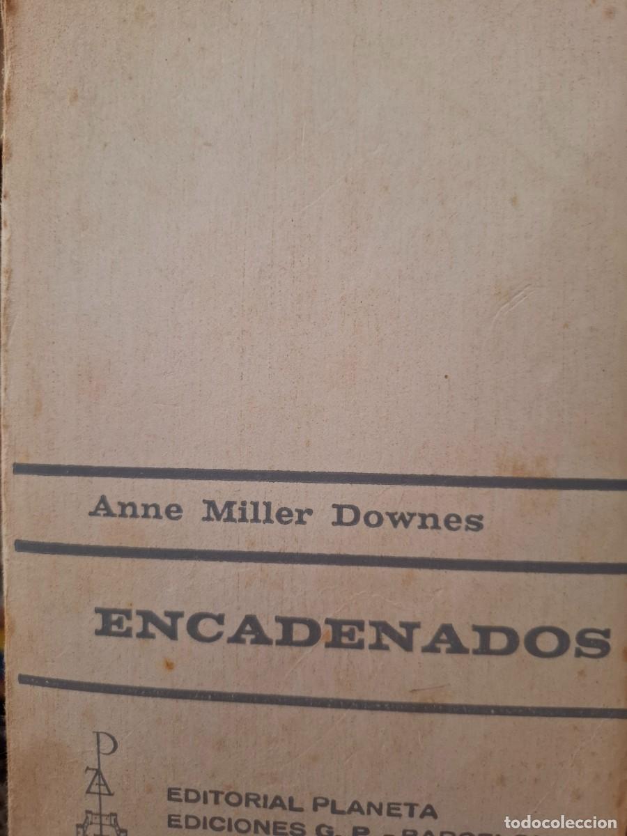 Libros de segunda mano: encadenados Anne Miller Downes