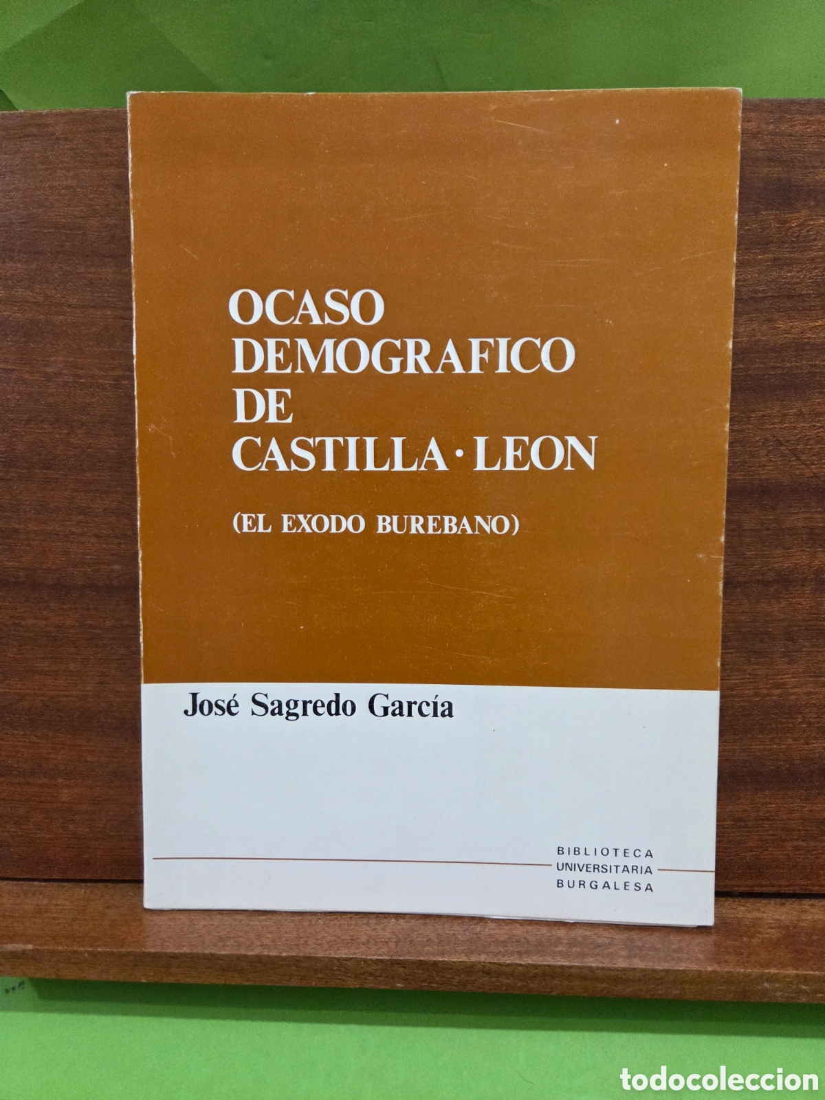 Libros de segunda mano: &rdquo;&rdquo;OCASO DEMOGR&Aacute;FICO DE CASTILLA Y LE&Oacute;N&rdquo;&rdquo;...( EL &Egrave;XODO BUREBANO)...JOSE SAGREDO GARC&Iacute;A...1980...