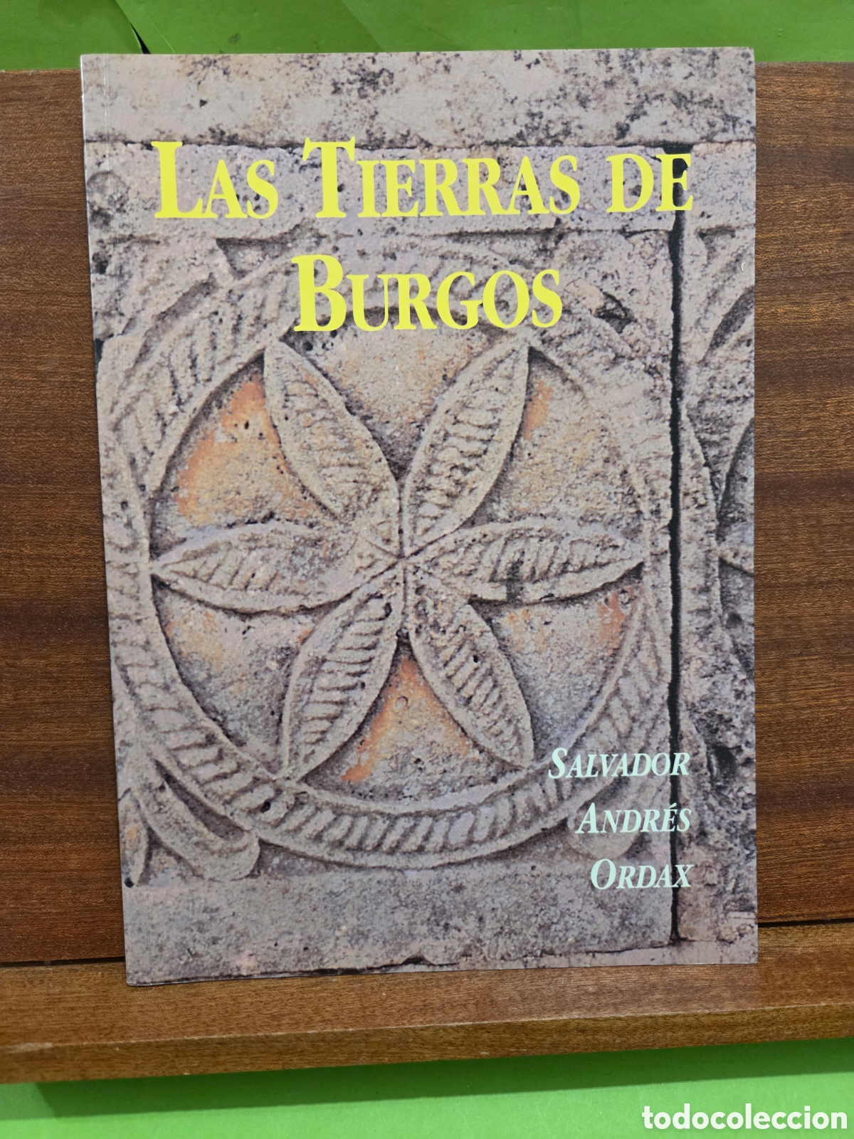 Libros de segunda mano: &rdquo;&rdquo;LAS TIERRAS DE BURGOS&rdquo;&rdquo;... SALVADOR ANDR&Eacute;S ORDAX...1994...