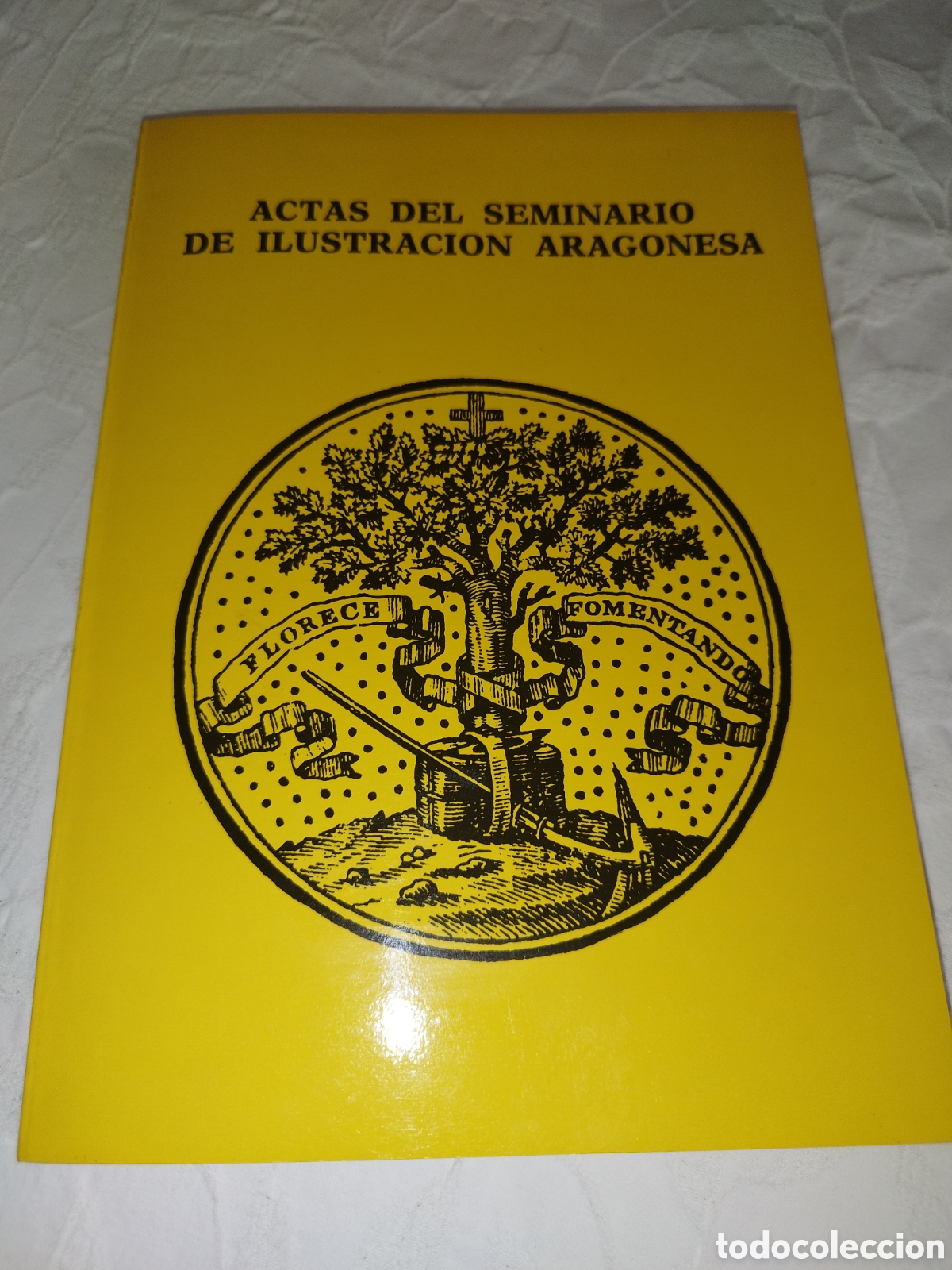 Libros de segunda mano: ACTAS DEL SEMINARIO DE ILUSTRACION ARAGONESA. DGA, 1987 PRIMERA EDICION. ILUSTRADO.