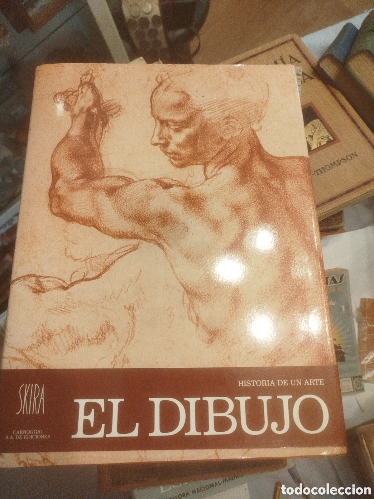 Libros de segunda mano: Historia de un arte EL DIBUJO SKIRA CARROGGIO
