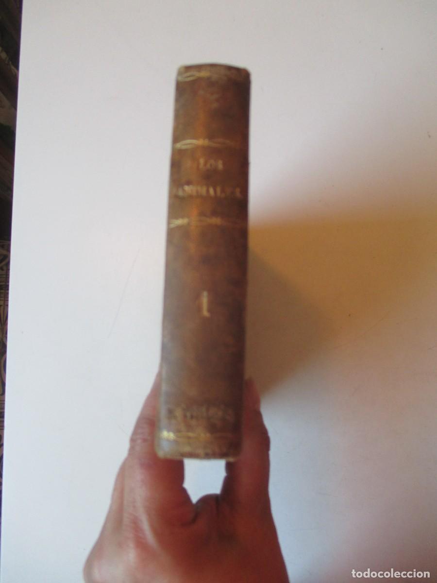 Libros de segunda mano: Los animales (lote de 11 cuadernos ) W40412 - Foto 2
