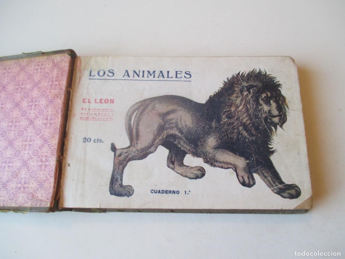 Libros de segunda mano: Los animales (lote de 11 cuadernos ) W40412 - Foto 3