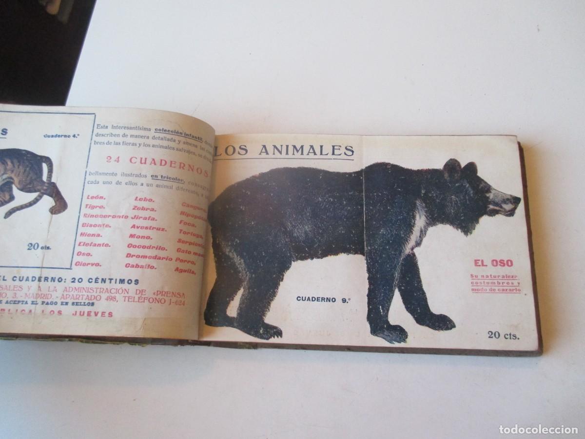 Libros de segunda mano: Los animales (lote de 11 cuadernos ) W40412 - Foto 4
