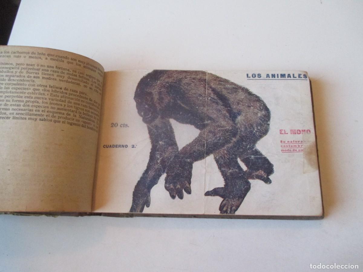 Libros de segunda mano: Los animales (lote de 11 cuadernos ) W40412 - Foto 5