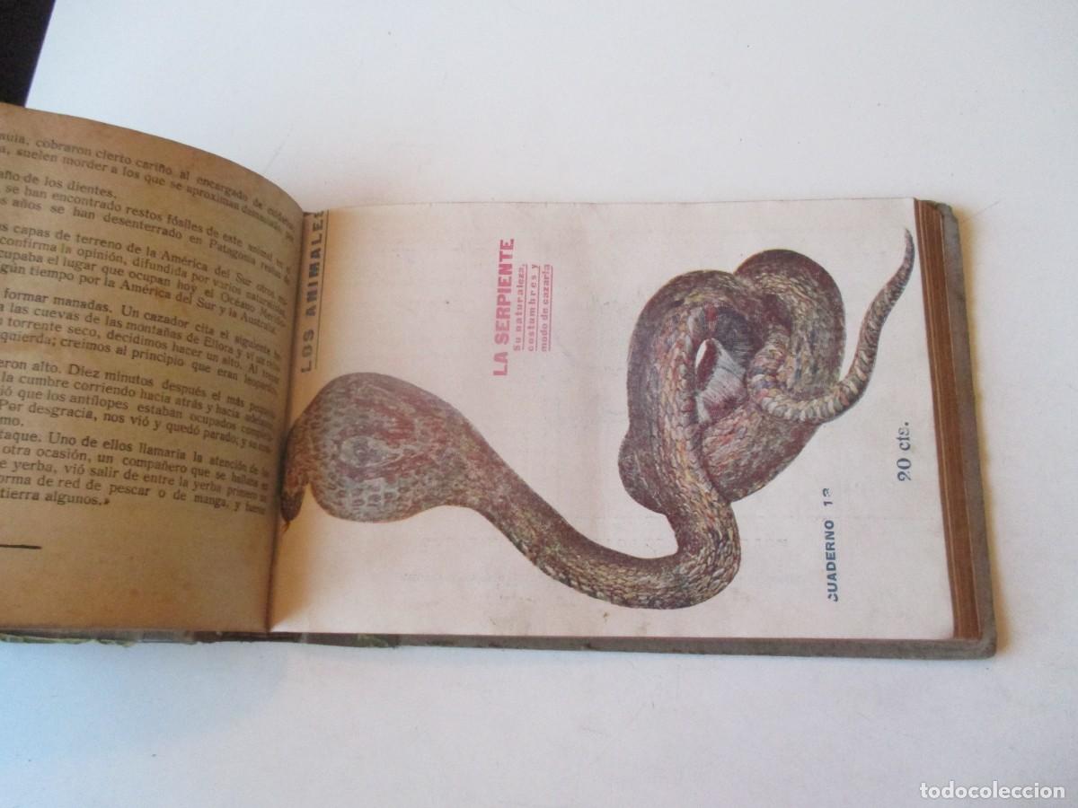Libros de segunda mano: Los animales (lote de 11 cuadernos ) W40412 - Foto 6