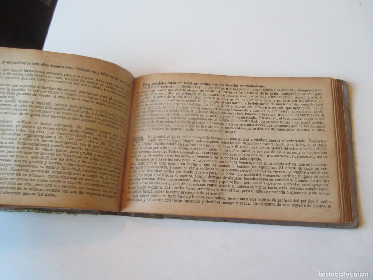 Libros de segunda mano: Los animales (lote de 11 cuadernos ) W40412 - Foto 7