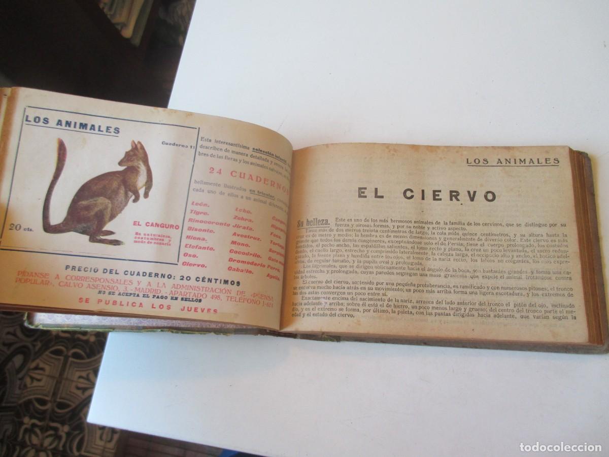 Libros de segunda mano: Los animales (lote de 11 cuadernos ) W40412 - Foto 8