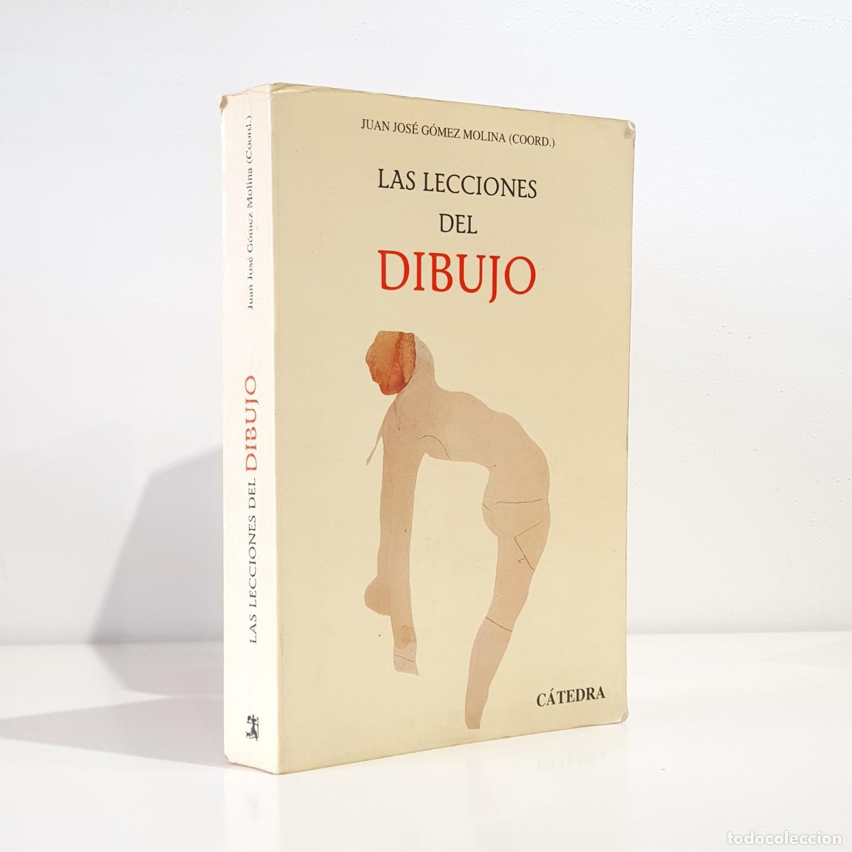 Libros de segunda mano: Juan J. Gomez Molina - Las lecciones del dibujo
