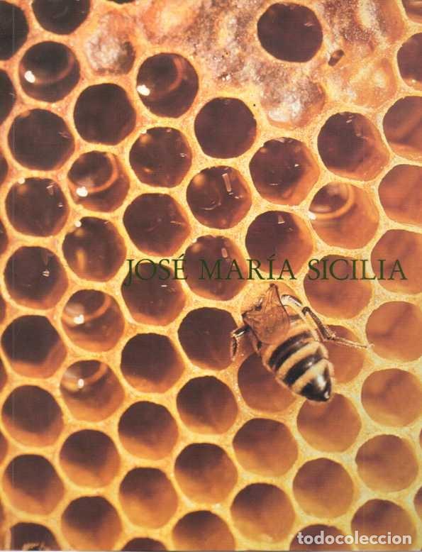 Gebrauchte B&uuml;cher: JOSE MARIA SICILIA. - CATALOGO.